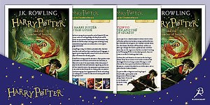 Harry Potter and the Chamber of Secrets: Discussion Guide