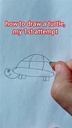how to easily draw a cute turtle, my 1st attempt
