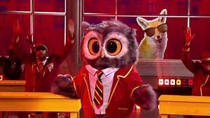 ‘So many clues’ insist Masked Singer fans as they claim Owl is I’m A Celeb star