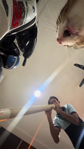 Kucing Merah dan Batu Api: Versi Terjemahan