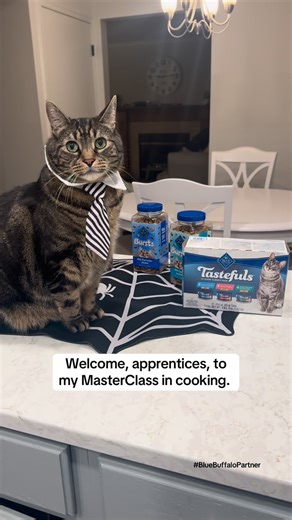 Milo on Instagram: "Gourmet autumn feast: taught by the master himself. 🍁🍽️ @bluebuffalo #BlueBuffaloPartner"