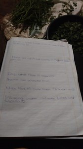 Explain 2 ways through which ice can cause physical weathering.... | Filo