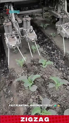 Genius Farming Tools for Effortless Weed Removal in Farm Rows