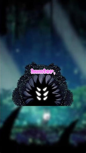 You Completely Misunderstood The Hunter | Hollow Knight