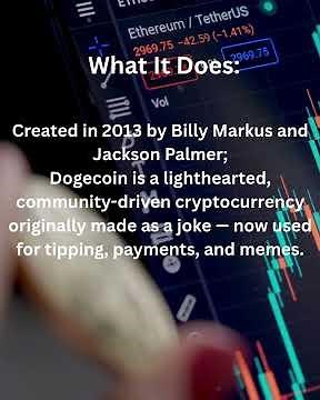 What is DOGE? 1Minute Bitesize Lesson🐶 Financial Literacy TV