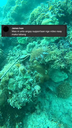 1.8K views · 7.8K reactions | Injecting methods to COTS o Dap Ag COTS can produce corals breakdown Salamat sa mga misoporta ☺️ #advocacy #savemotherocean #crownothornsstarfish #informativecontent #protectcoralreefs #fypシ゚ #reelsvideoシ | Tolits Rodriguez | Facebook