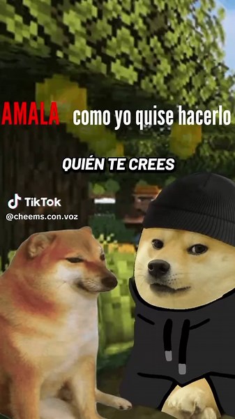AMALA como yo quise hacerlo CHEEMS CON VOZ #desamor #cheems #consejos #sad #viral @#foryou