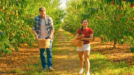 2.2K views · 35 reactions | Our newest Georgia Farm Bureau Insurance...