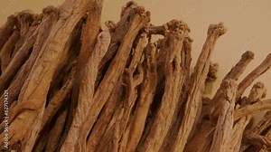 Close up shot of a lot of Dangshen displayed over beige background. Dang Shen (codonopsis pilosula) may have cognitive boosting capacities on its own