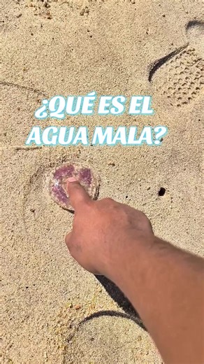 ¿Qué es el Agua Mala? Conoce su impacto en playas
