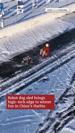 A four-wheeled robotic dog has become a major attraction in Harbin, northern China, as it pulls sleds across frozen surfaces for visitors. Dressed in festive costumes, robot dogs also performed dances ahead of the Lunar New Year celebrations. 📸Viory | The Hindu