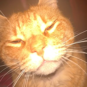 Streamingstreaming1234 - Twitch