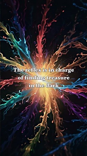 Duran Duran - The Reflex (Lyrics) | #Trending #Lyrics #Music #LyricVideo #80sMusic #DuranDuran