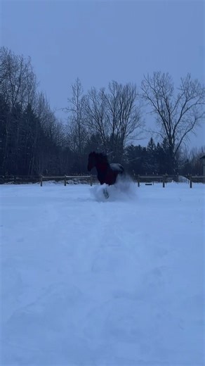 Mallory Moyer (@mallorymoyer0)’s videos with original sound - Mallory Moyer