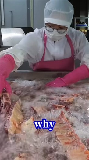 Worldtradepro.com on Instagram: "🌐 Open Community for Global Trade and Commodities 🤝 Connect. Share. Grow together. 📞 WhatsApp: +44 7493 851334 📩 Email: contact@worldtradepro.com 🔗 Catalog: www.worldtradepro.com From Short Ribs to Supply Chains: Flavor You Can Taste, Flows You Rarely See In a South Korean beef facility, ribs are boiled, trimmed, sealed—and exported. Standardized taste, scalable output, structured flows. Each step tells a trade story that starts in the kitchen but ends far b