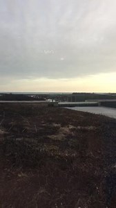 21K views · 90 reactions | Not saying it's ALIENS, but it is... aliens? What do you think these UFOs are?! Funny Videos Want to be featured? Message us videos you filmed to be featured on the page! | Funny Videos | Facebook