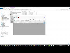 Selfishnet For Windows 10! Working 100% tuto