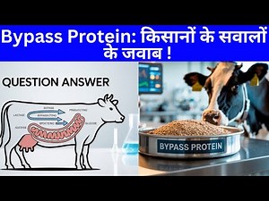 Bypass Protein Part 2: Question-Answers of Dairy Farmer's ‪@drcharandeepss‬