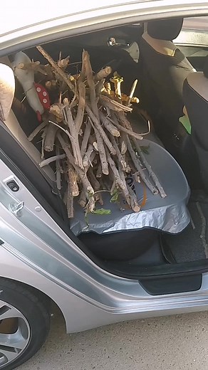 ‏@highlight @ yes this is dubai Baby @ everything is possible here #