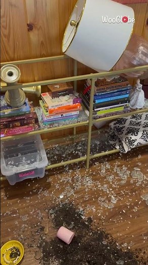 Glass Explosion: Cat Camera Captures Sofa Table Shattering || WooGlobe