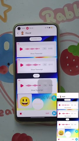 Record. Transform. Shock your friends with your new voice!