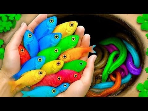 Catch Freshwater Aquarium Fish in Giant Colorful Eggs, Oranda Fish, lce Blue Guppy, Koi, Swordfish