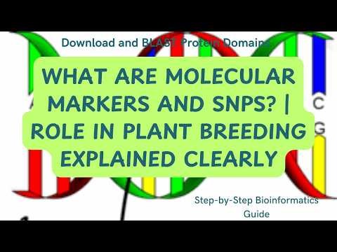 What Are Molecular Markers and SNPs? | Role in Plant Breeding Explained Clearly