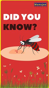 6.9K views · 194 reactions | PROTECT YOUR FAMILY FROM DEADLY MOSQUITO BITES EVERYWHERE AND EVERTIME. #MamujeeproductsLtd #Tanzanian #Tanzania #repellent #mosquitocontrol #mosquitorepellent #MosquitoFree #Bodycream #Bodylotion #MosquitoRepellent #bodycream #cosmetics #dolcegabbana | Mamujee Products Ltd. | Facebook