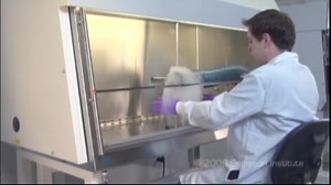 Biosafety Cabinet Use with Particle Demo