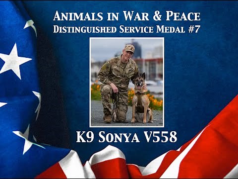 K9 Sonya - Animals in War & Peace Distinguished Service Medal #7 (2024)
