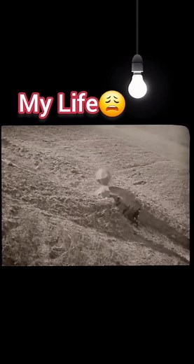 My life 😀 | ጠቃሚ ንግግሮች/Useful expressions