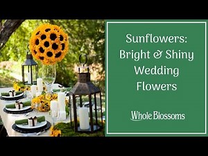 Brighten Up Your Big Day With Fresh Bulk Sunflowers