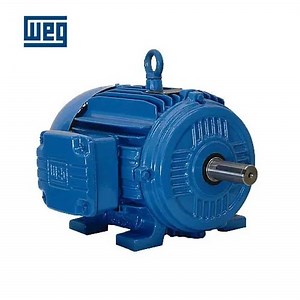 [Hot Item] Weg Electric Motor 230/380 AC Voltage and CE Certification