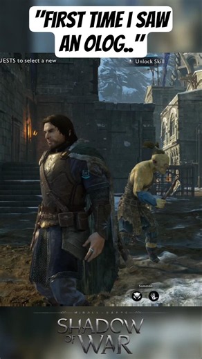 Is This What Orcs Think About Ologs?!