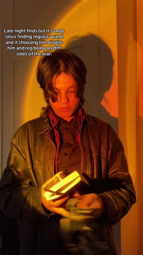 Wand Chooses the Wizard: Sirius and Regulus Black's Fate