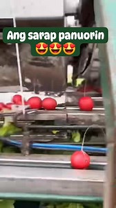 33K views · 185 reactions | Goodmorning #thankyouforwatchingmyreels #agribusiness #technology #motivation | Melody Santiago | Facebook