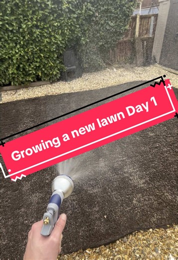Growing a New Lawn from Scratch: Day One