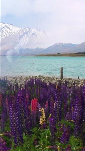 Lake Tekapo's Secret Blue Water REVEALED!