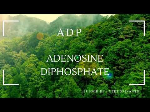 ABBREVIATIONS - NEET BIOLOGY - XI,XII - PART - 1