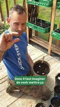 Comment réussir ses semis de courges ?