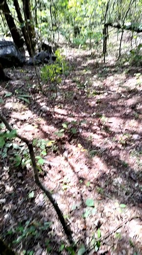 boogerman (@jimmyallenguate)’s videos with Swing Low, Sweet Chariot - Ralph Stanley