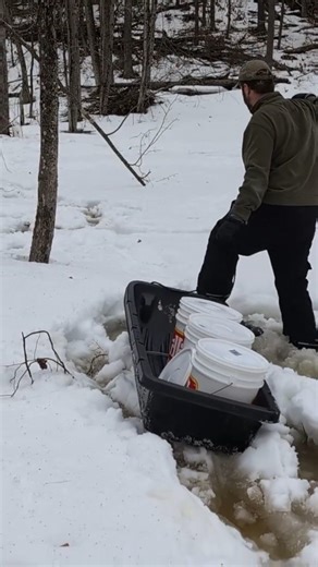 Hauling Maple Sap Through Slush
