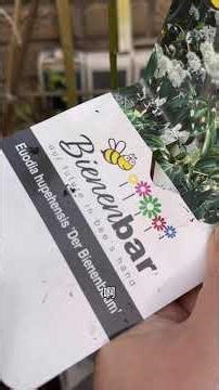 (2025-10-24) 五合一果树盲盒 蜜蜂树 / Bienenbaum #garden #bienenbaum