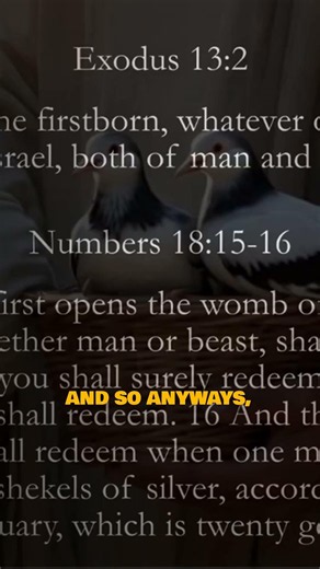 Why “redeeming the firstborn” matters for Jesus