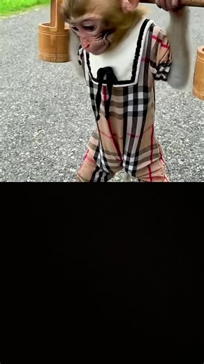 Queen Clothes Shop on TikTok