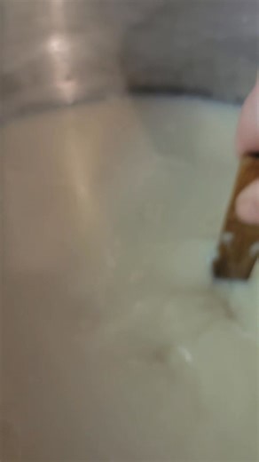 So, I am now adding quesera to my ever growing hats I'm wearing now... Luke asked me to start making some cheese ( I think we're making another gouda wheel) so I cleaned the fridge out with the exception of 2 jars of milk. I hope this turns out, if not, more for the piggies... | Belding Hill Farms