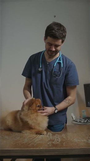 Are We Living in a Simulation? Unveiled!