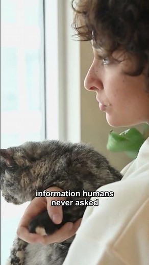 Why Cats Sniff Each Other’s Faces and Butts