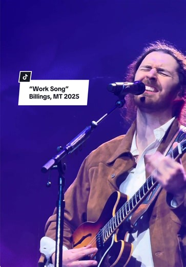 A solo “Work Song” from 2025 🙌🏽#hozier #hoziertok #hoziertiktok
