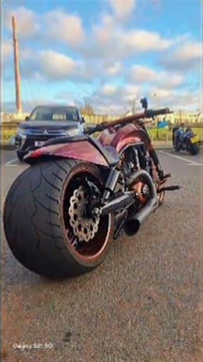 custom V Rod#motorcycle #harleydavidson#custom #fypシ #vrodmuscle #vrod #viral #fyi #bobber #acecafe
